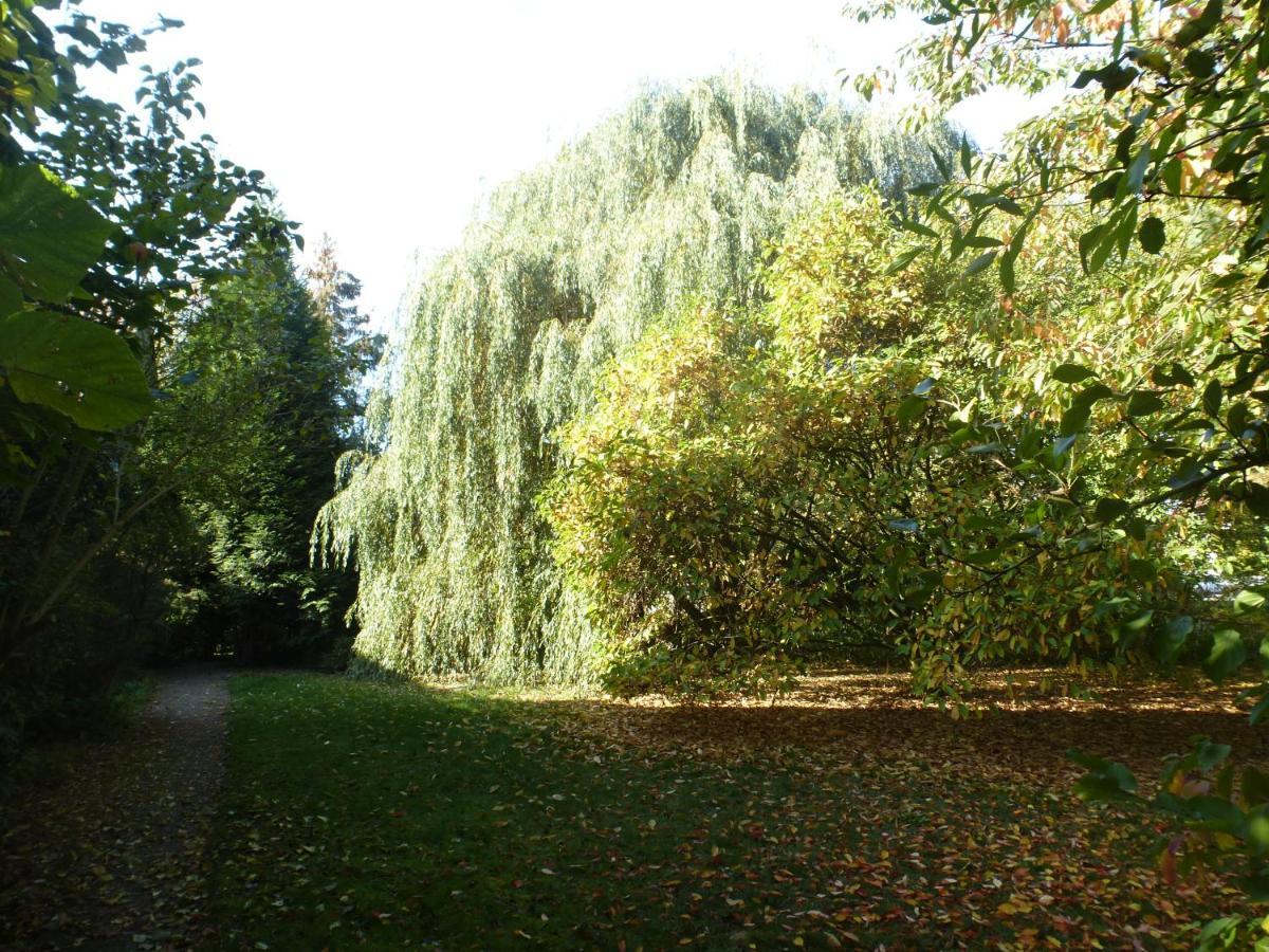 Fewo Im Naturschutzgebiet Hiddenhausen Εξωτερικό φωτογραφία