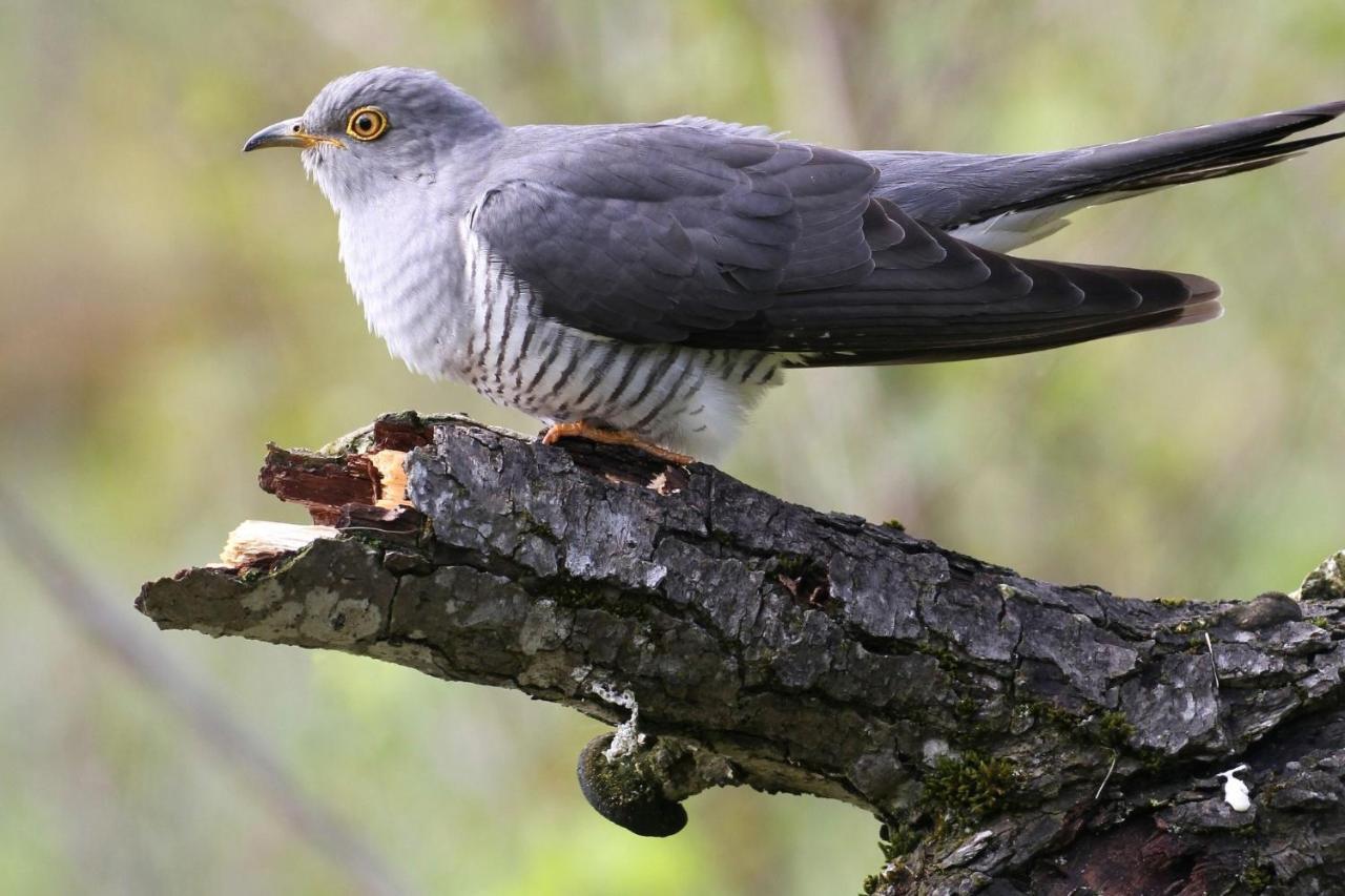 Fewo Im Naturschutzgebiet Hiddenhausen Εξωτερικό φωτογραφία
