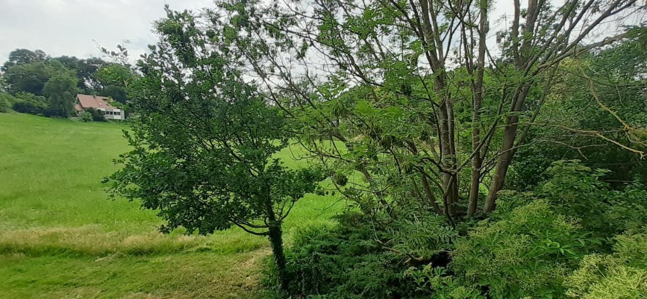 Fewo Im Naturschutzgebiet Hiddenhausen Εξωτερικό φωτογραφία